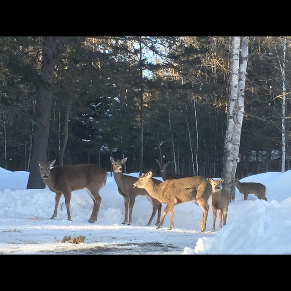 Meet your Posher, Laura - Picture 5 of 8